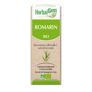 Herbalgem - Bourgeons de Romarin