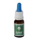 Huile de CBD 10% Esprit CBD