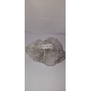 Druze de Cristal de roche +-300g - 18€
