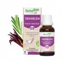 Transigem - Herbalgem 15ml