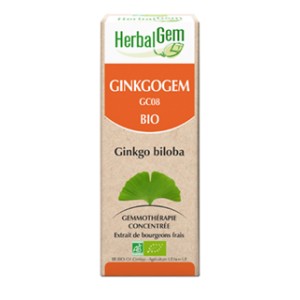 Ginkgogem - Herbalgem - complexe bio Ginkgo biloba, concentration